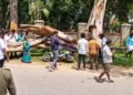 ತಿಪಟೂರಿನಲ್ಲಿ ಬೃಹತ್ ಮರದ ಕೊಂಬೆ ಬಿದ್ದು ನಿವೃತ್ತ ಶಿಕ್ಷಕ ಸಾವು