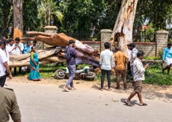 ತಿಪಟೂರಿನಲ್ಲಿ ಬೃಹತ್ ಮರದ ಕೊಂಬೆ ಬಿದ್ದು ನಿವೃತ್ತ ಶಿಕ್ಷಕ ಸಾವು