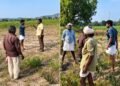 ರಸ್ತೆಬದಿ ಸಸಿ ಕಿತ್ತಿದ್ದೇ ತಪ್ಪಾಯ್ತಾ? ರೈತನ ಮೇಲೆ ಅರಣ್ಯಾಧಿಕಾರಿಗಳ ಹಲ್ಲೆ!